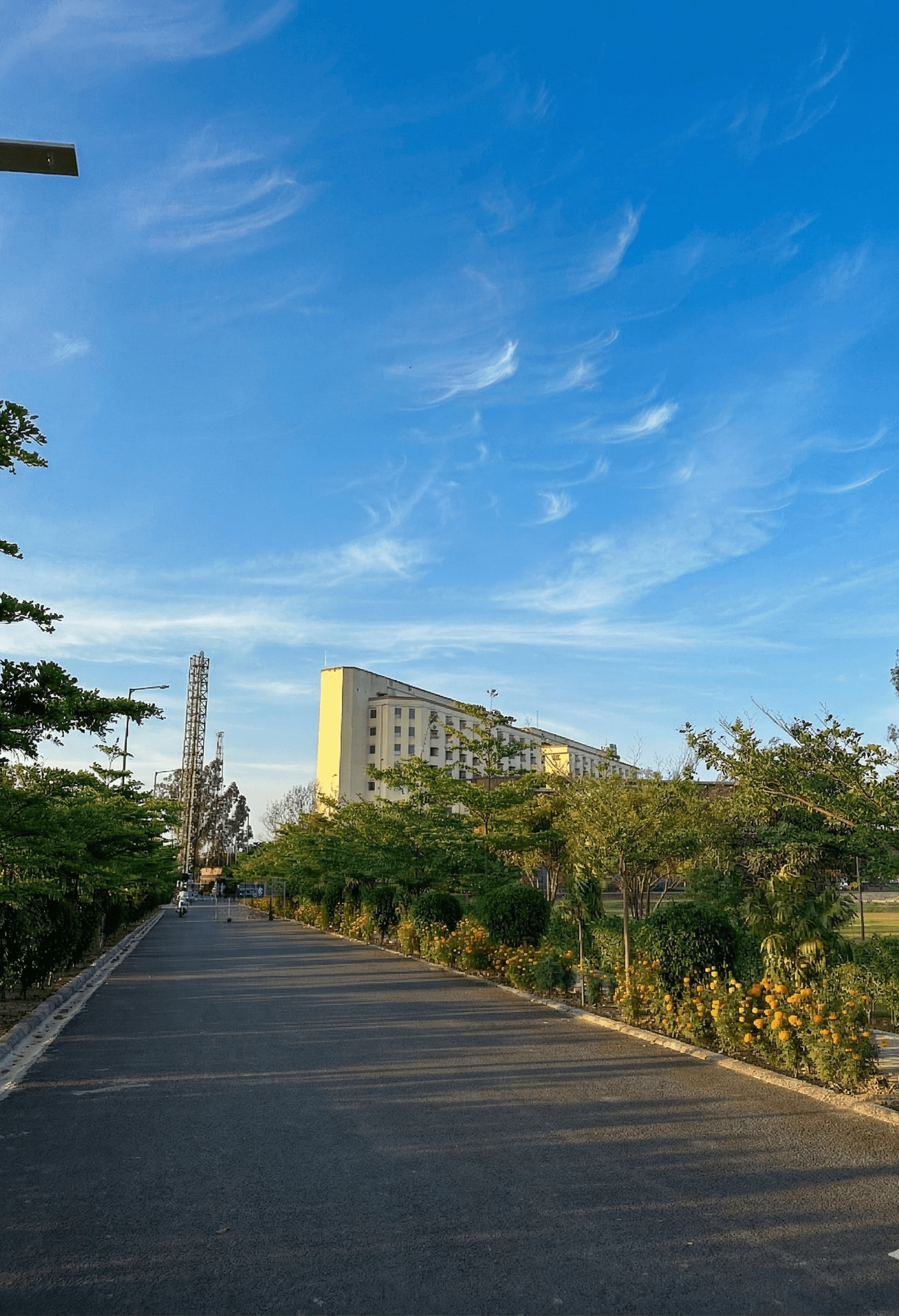 NIT Delhi Mini Campus Portrait